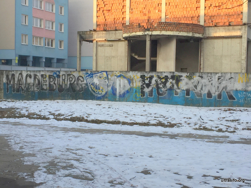 IMG 4795